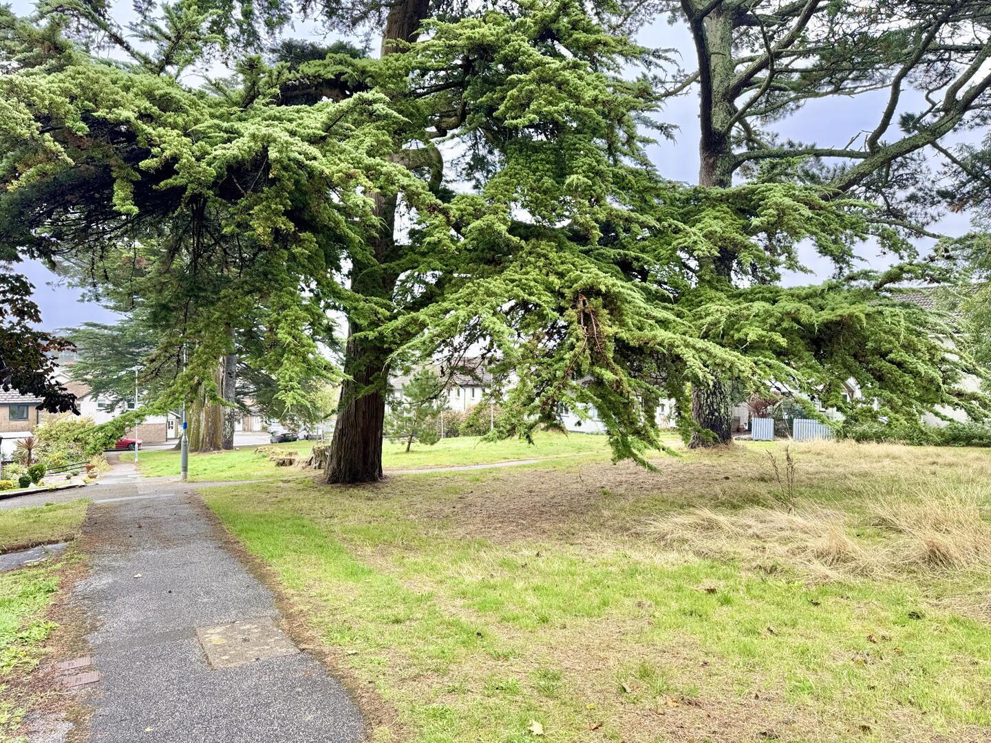Little Oaks, Penryn